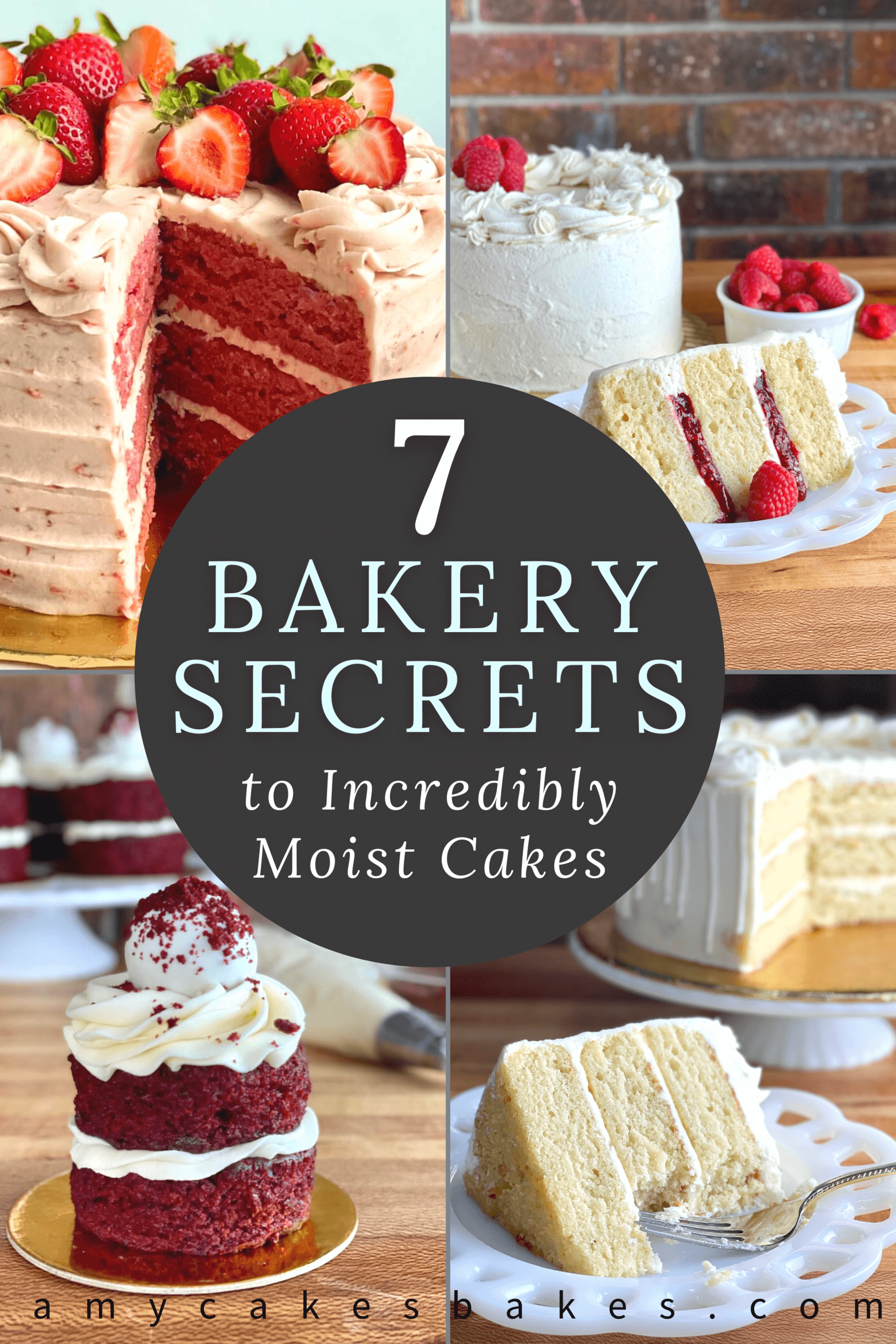 How to Make Moist Cakes by Amycakes Bakes