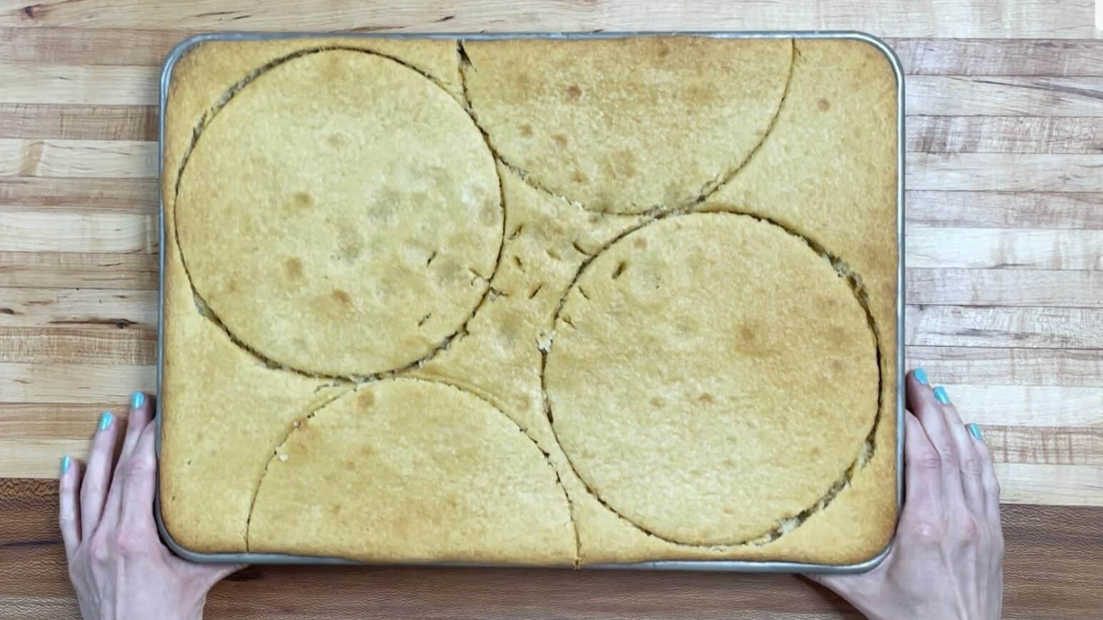 A Vanilla cake in a sheet pan with layers cut out with cake rings