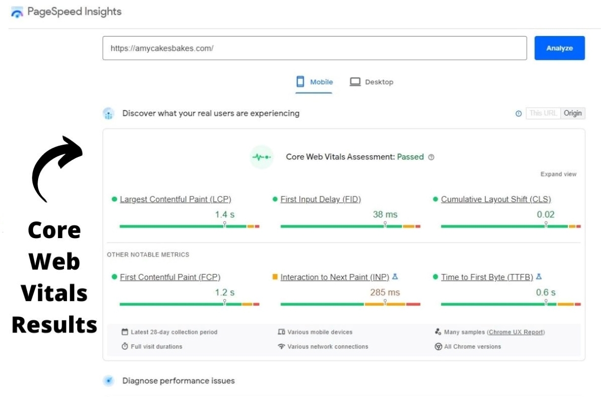 a screenshot of a core web vitals report showing amycakesbakes.com passing with the text "core web vitals results"