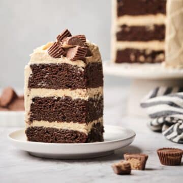 A large slice of chocolate cake with peanut butter frosting.