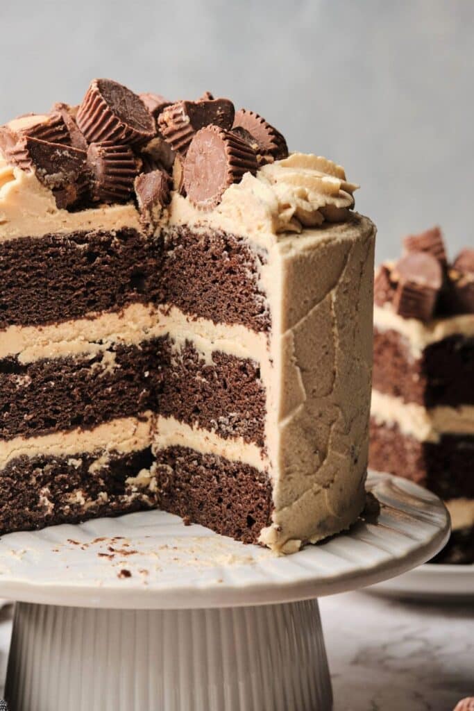 Chocolate Cake with Peanut Butter Frosting - Amycakes Bakes