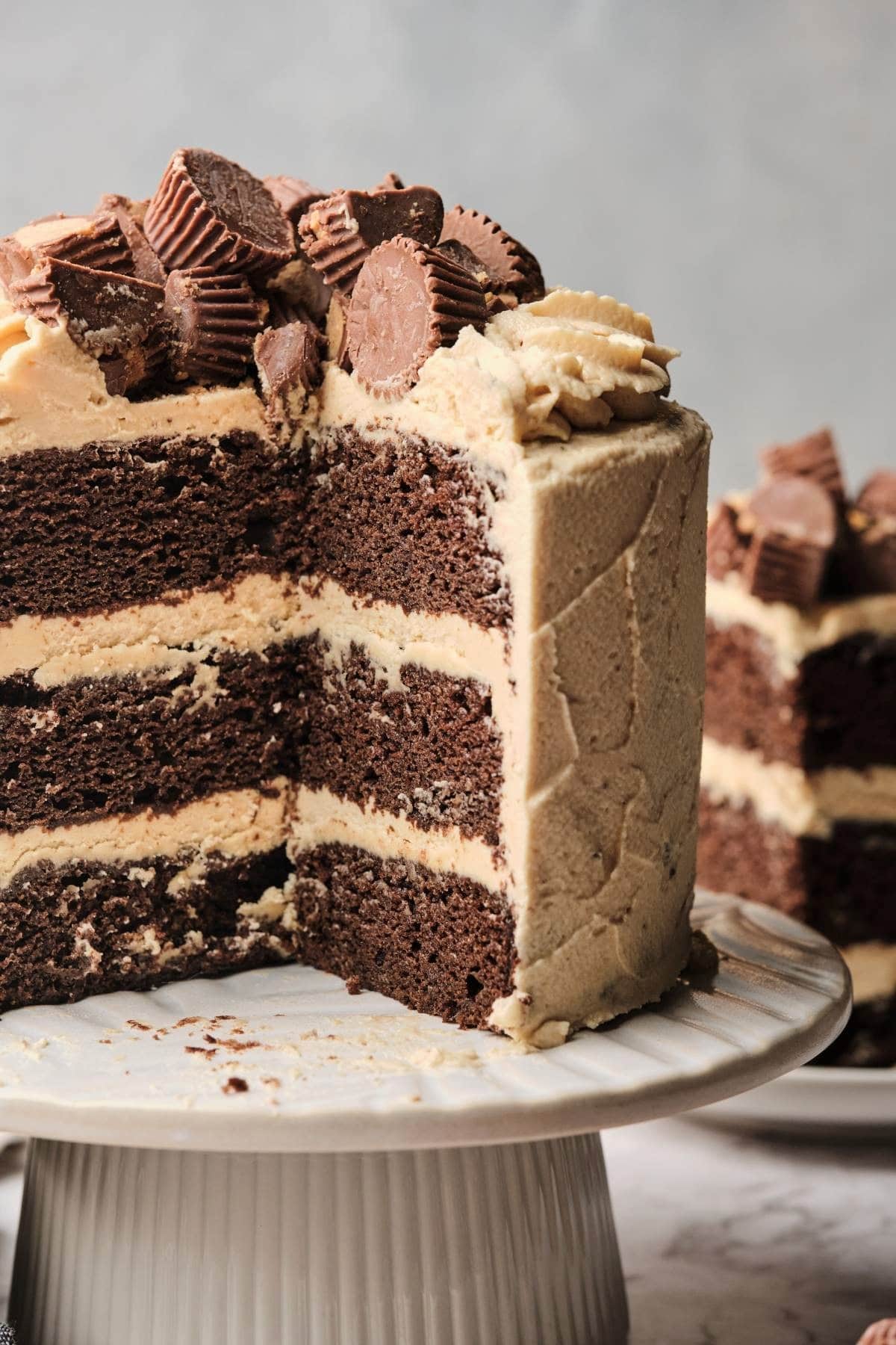 A chocolate peanut butter cake cut open showing the layers and moist cake.