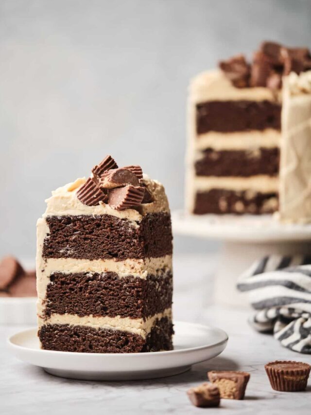 Moist Chocolate Cake with Peanut Butter Frosting