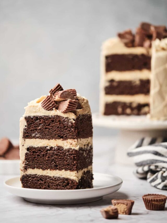 Moist Chocolate Cake with Peanut Butter Frosting - Amycakes Bakes