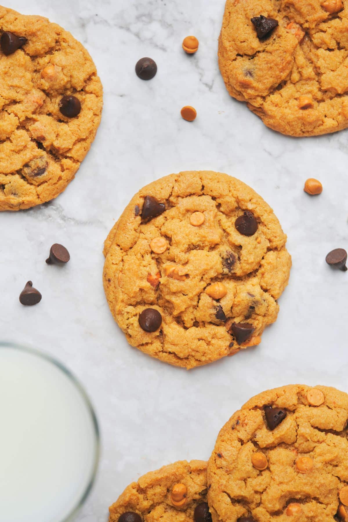 A soft chocolate chip butterscotch cookie on a white background.