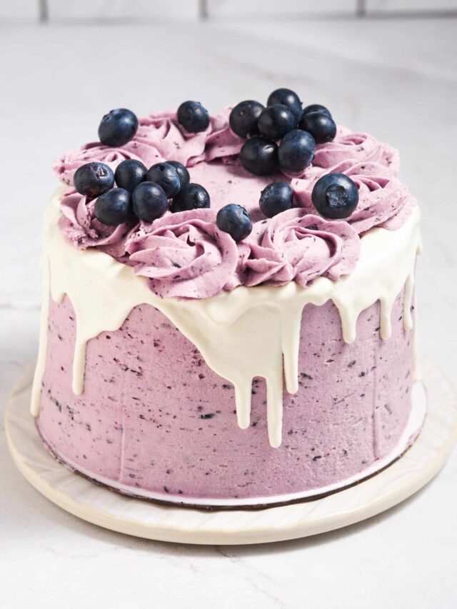 The Ultimate Blueberry Cake
