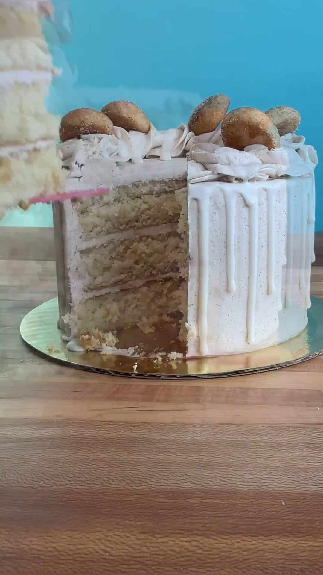 https://amycakesbakes.com/wp-content/uploads/2023/06/snickerdoodle-cake-video-poster.jpeg