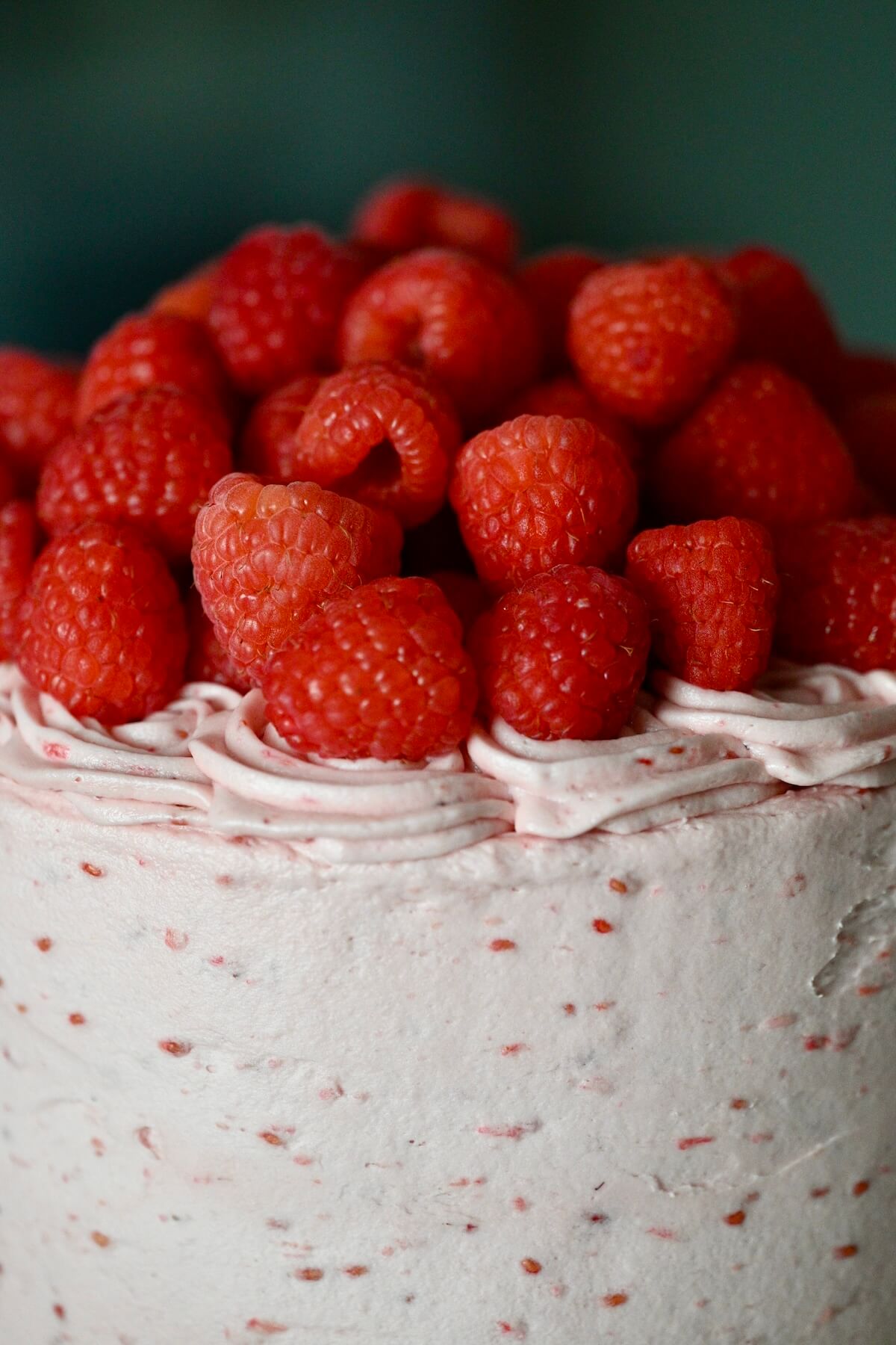 A closeup to fresh raspberries on top of a raspberry cake with raspberry buttercream.